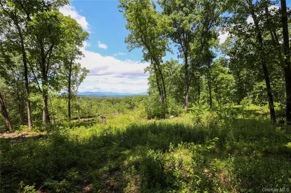 814 Cow Hough RD, New Paltz, NY 12561