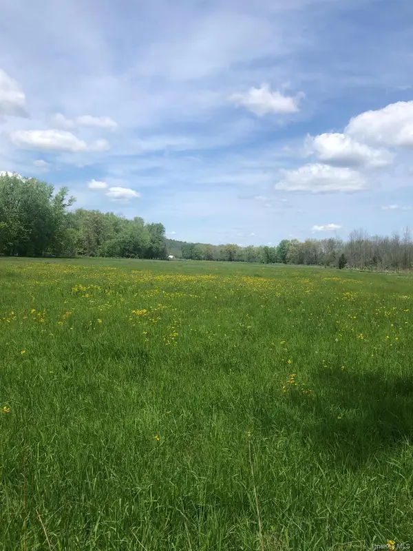 65 Juliet DR, Warwick, NY 10990