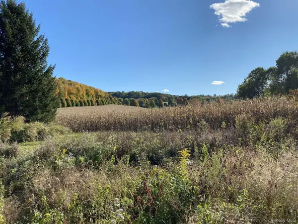 417 Tripp RD, Millerton, NY 12546