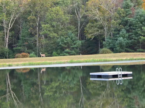 Split Rock DR, Barryville, NY 12719