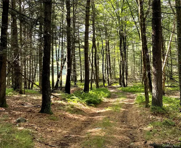 Split Rock DR, Barryville, NY 12719