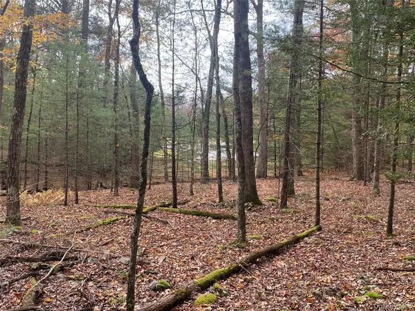 Split Rock DR, Barryville, NY 12719