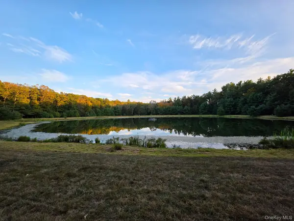 Split Rock DR, Barryville, NY 12719