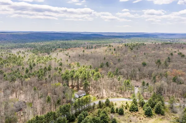 Lot 20.8 Airport RD, Eldred, NY 12732