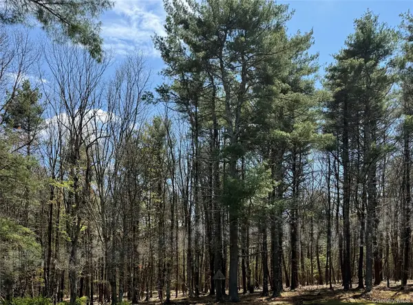Lot 20.8 Airport RD, Eldred, NY 12732