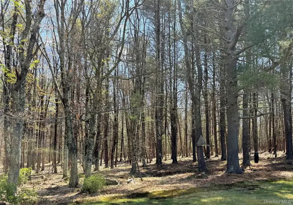 Lot 20.8 Airport RD, Eldred, NY 12732