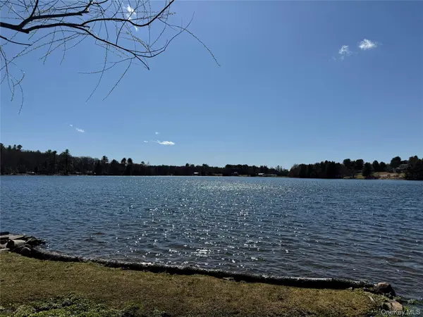 Lot 20.8 Airport RD, Eldred, NY 12732