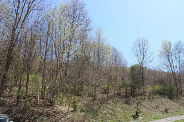 0 Old State Route 22, Amenia, NY 12501