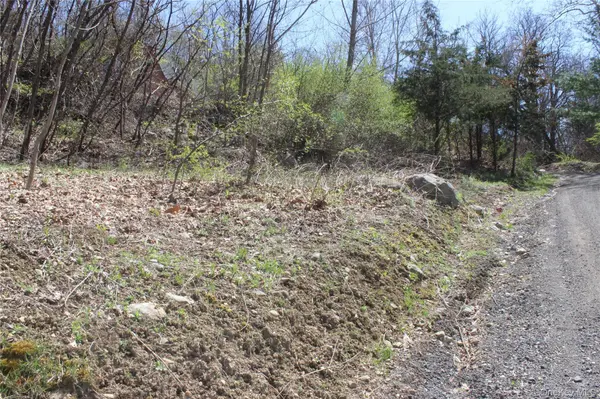 0 Old State Route 22, Amenia, NY 12501