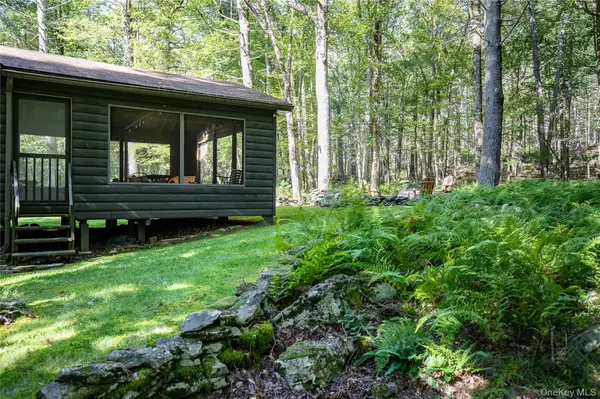 30 Woods RD, Yulan, NY 12792