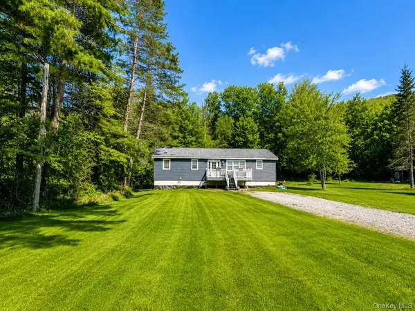 287 Debruce RD, Livingston Manor, NY 12758
