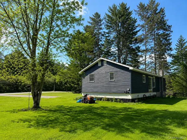 287 Debruce RD, Livingston Manor, NY 12758