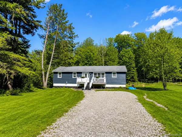 287 Debruce RD, Livingston Manor, NY 12758