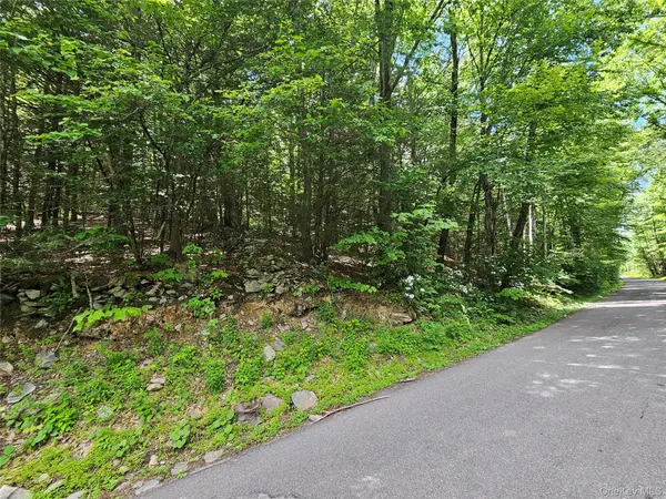 Trails End RD, Kerhonkson, NY 12446