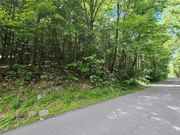 Trails End RD, Kerhonkson, NY 12446