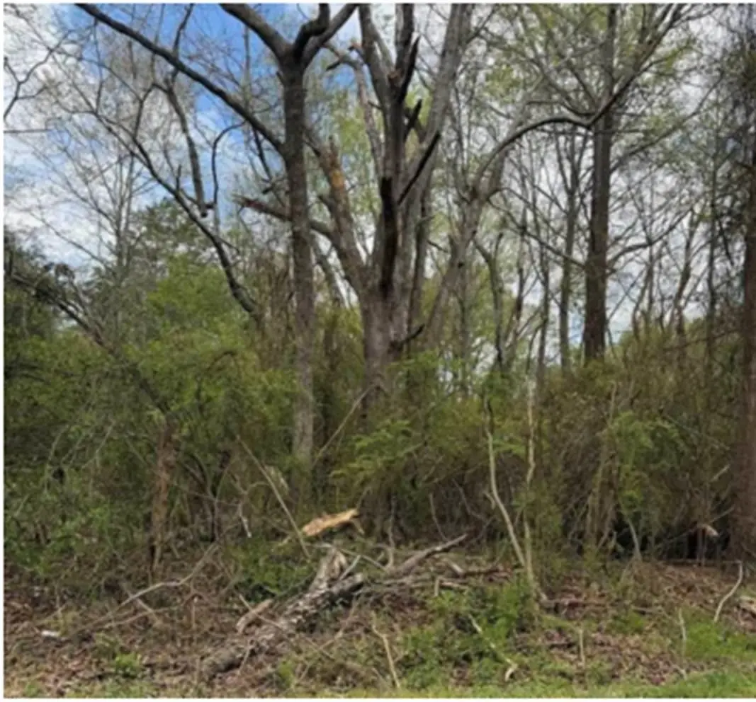 Augusta RD, Pelzer, SC 29669