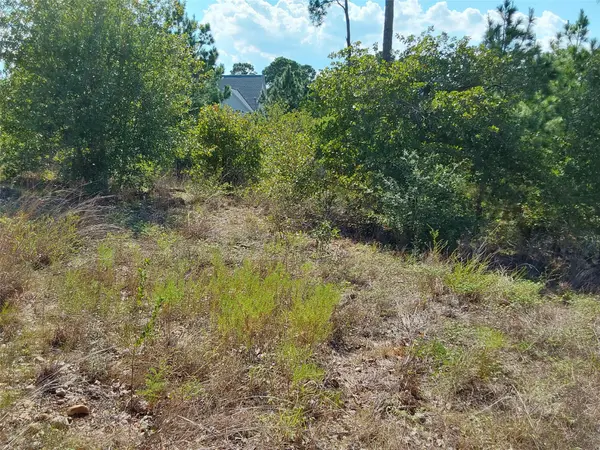 128 Mokalau DR, Bastrop, TX 78602