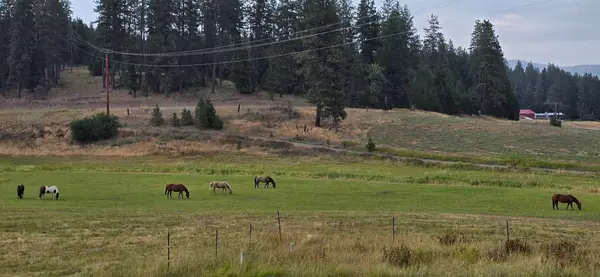 27108 E Blanchard LOOP, Newport, WA 99156