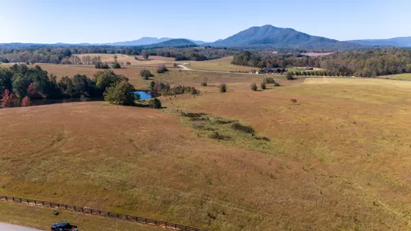 Lot 20 AR Thompson RD, Mill Spring, NC 28756