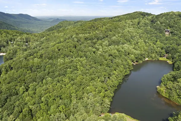 430 Lakeview DR, Saluda, NC 28773