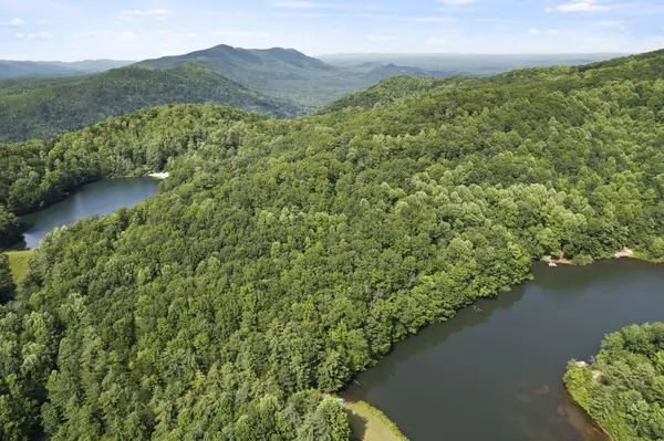 430 Lakeview DR, Saluda, NC 28773
