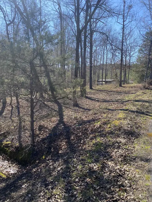 0 Tomachichi RD, Cross Hill, SC 29332