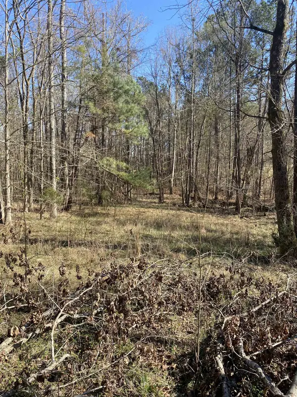 0 Tomachichi RD, Cross Hill, SC 29332