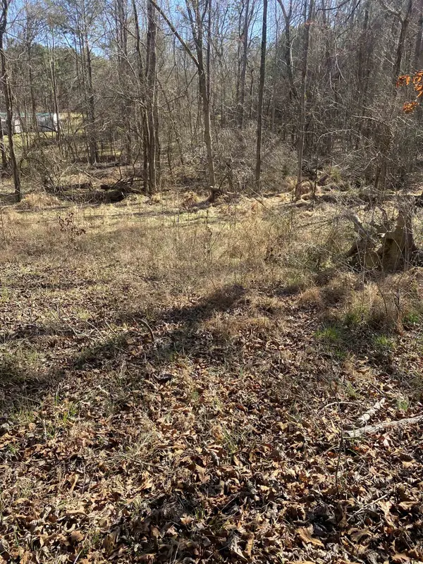 0 Tomachichi RD, Cross Hill, SC 29332