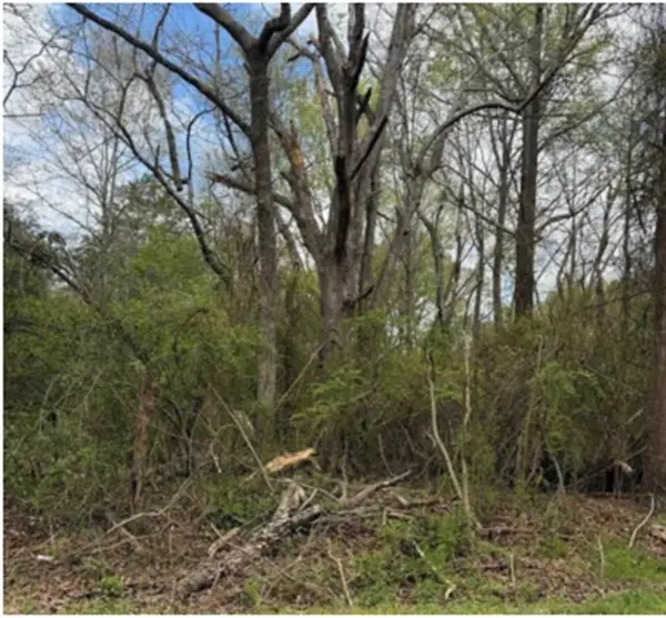 Augusta RD, Pelzer, SC 29669