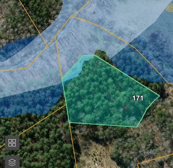 171 Bambi LN,  Mill Spring,  NC 28756