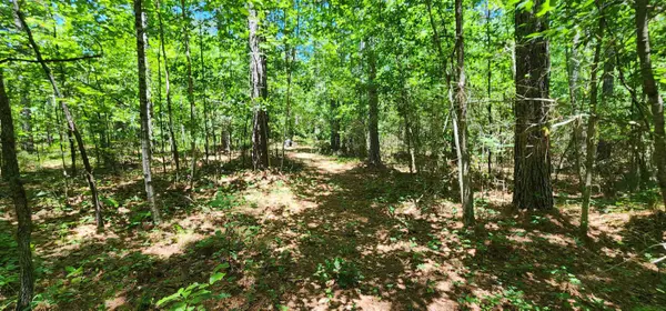 171 Bambi LN, Mill Spring, NC 28756