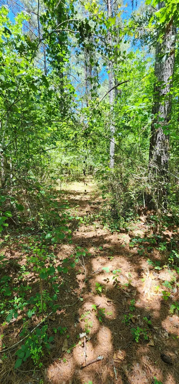 171 Bambi LN, Mill Spring, NC 28756
