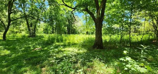 171 Bambi LN, Mill Spring, NC 28756