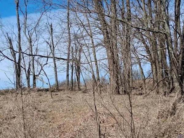 41 Lou Ann Dr, Lacygne, KS 66040