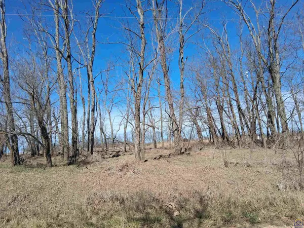 41 Lou Ann Dr, Lacygne, KS 66040