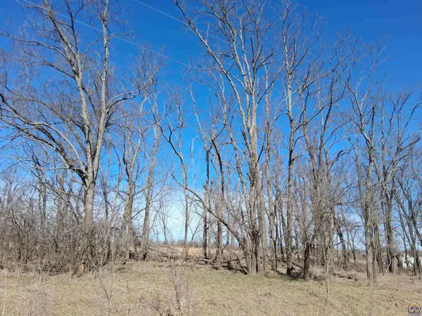 41 Lou Ann Dr, Lacygne, KS 66040