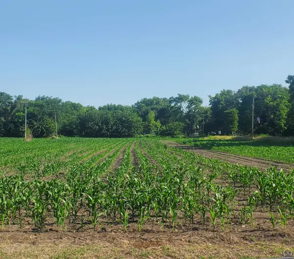 00000 E N 4th St #East Parcel, Quenemo, KS 66528