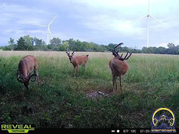 000 23rd Rd #East of Planter & 23rd Rd, Waverly, KS 66871