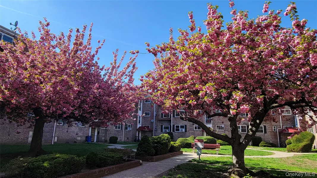 65-30 Grand Central Parkway #1A, Forest Hills, NY 11375