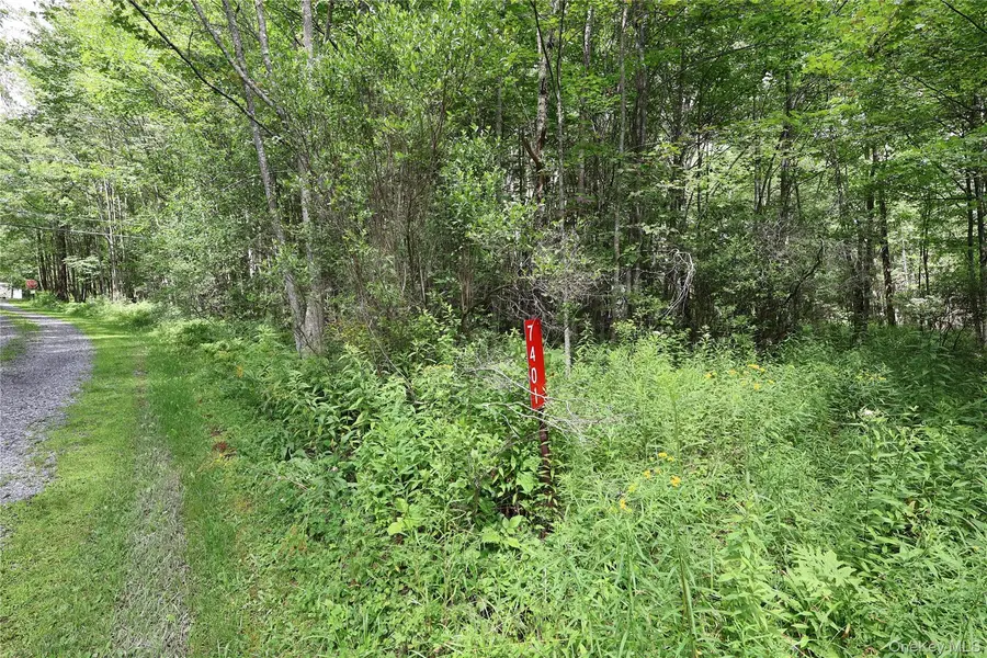 7401 Millbrook RD, Arkville, NY 12406