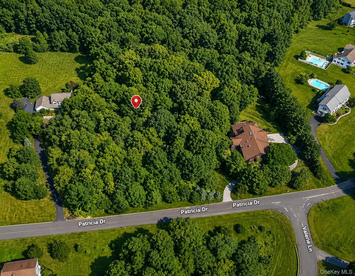 Patricia DR, Pleasant Valley, NY 12569