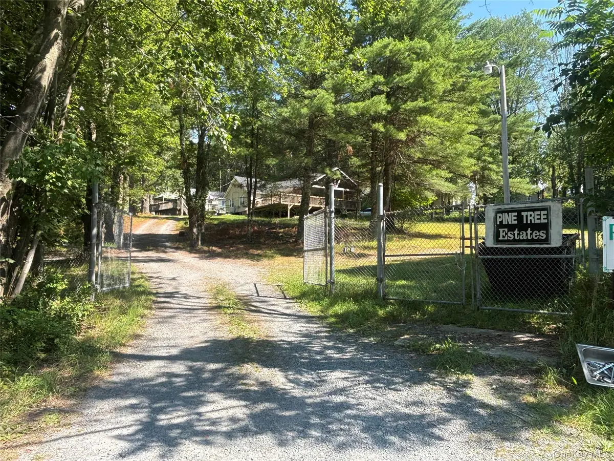 3174 State Route 55 #3, White Lake, NY 12786