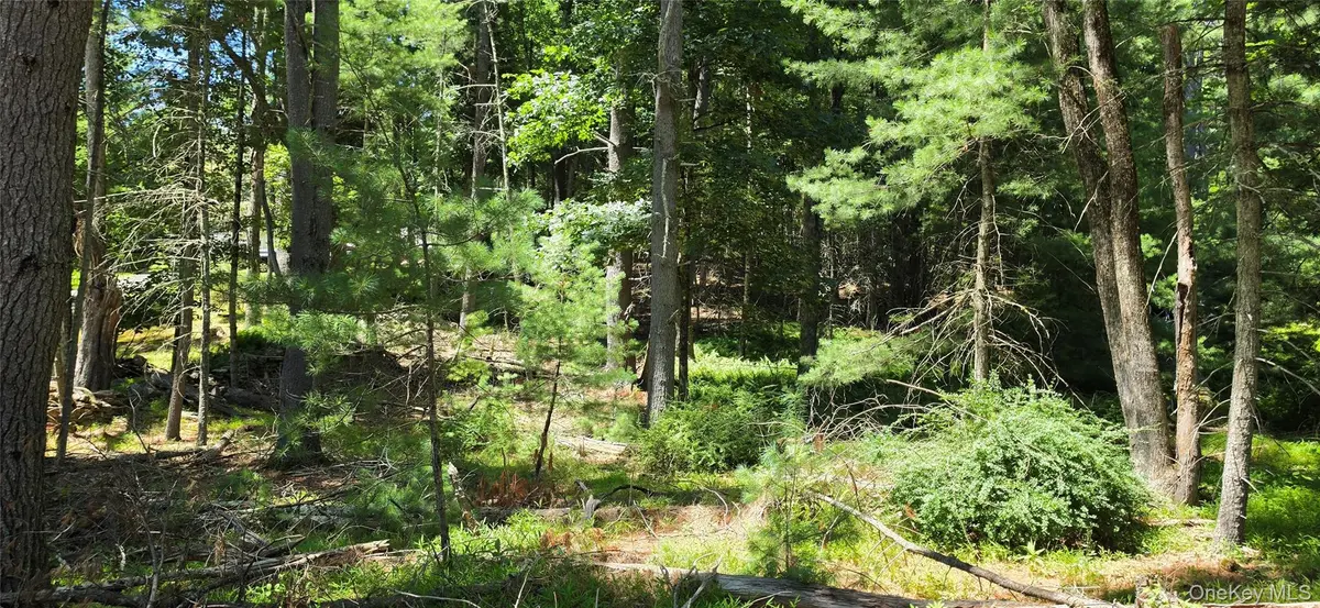 Lot # 7 Irishtown RD, Narrowsburg, NY 12764