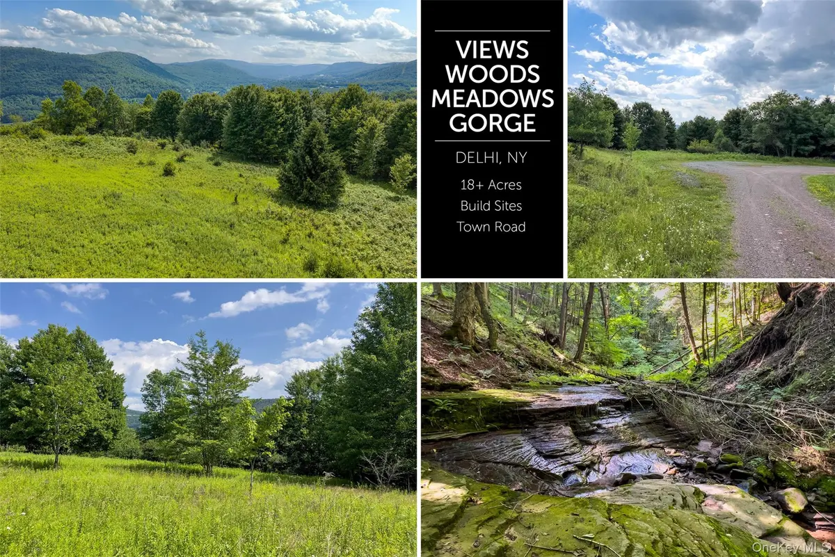 Lot 23 Lynch RD, Delhi, NY 13753