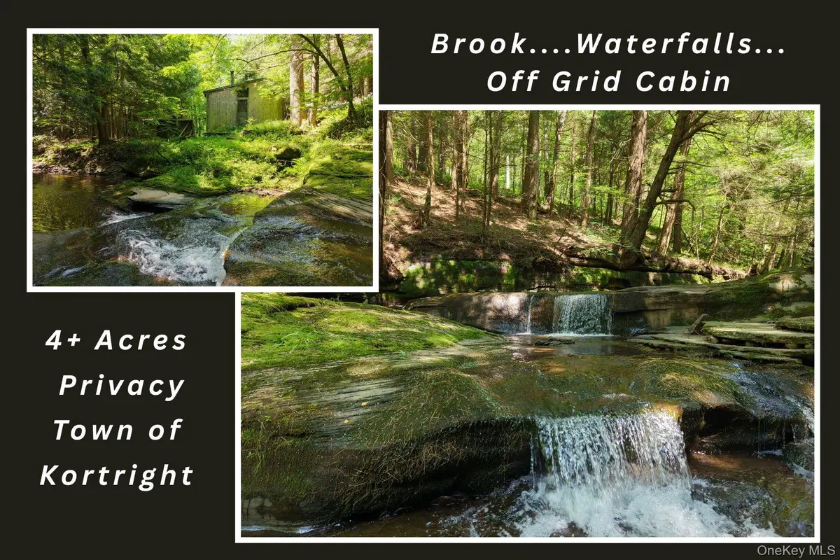 Lot 35 Webster Brook Road, Bloomville, NY 13842