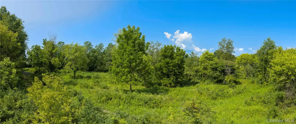 (Lot 1) 111 South ST, Highland, NY 12528