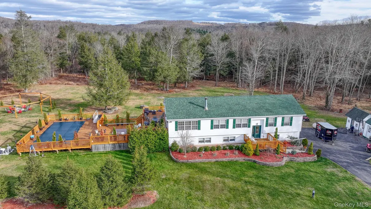 226 Big Woods Road, Harris, NY 12742