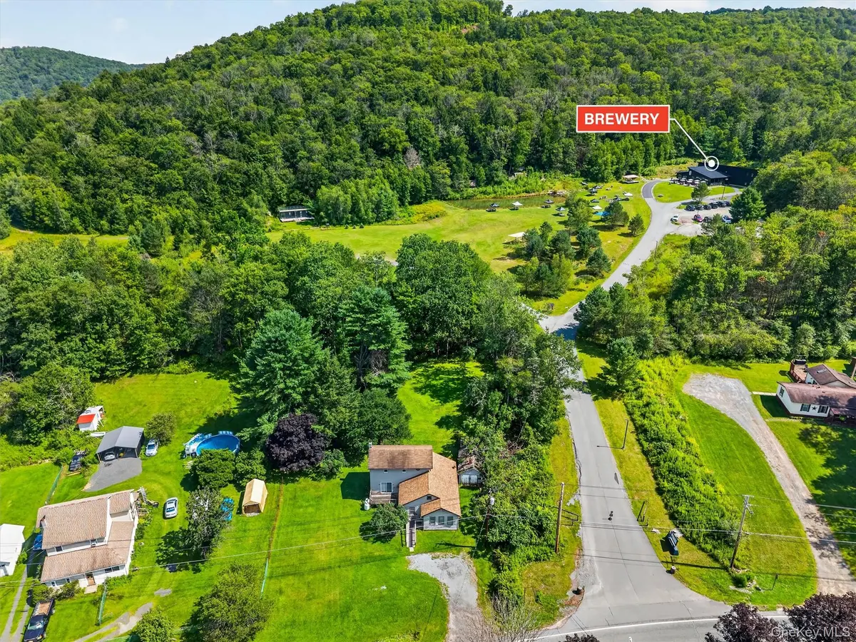169 Main ST, Livingston Manor, NY 12758