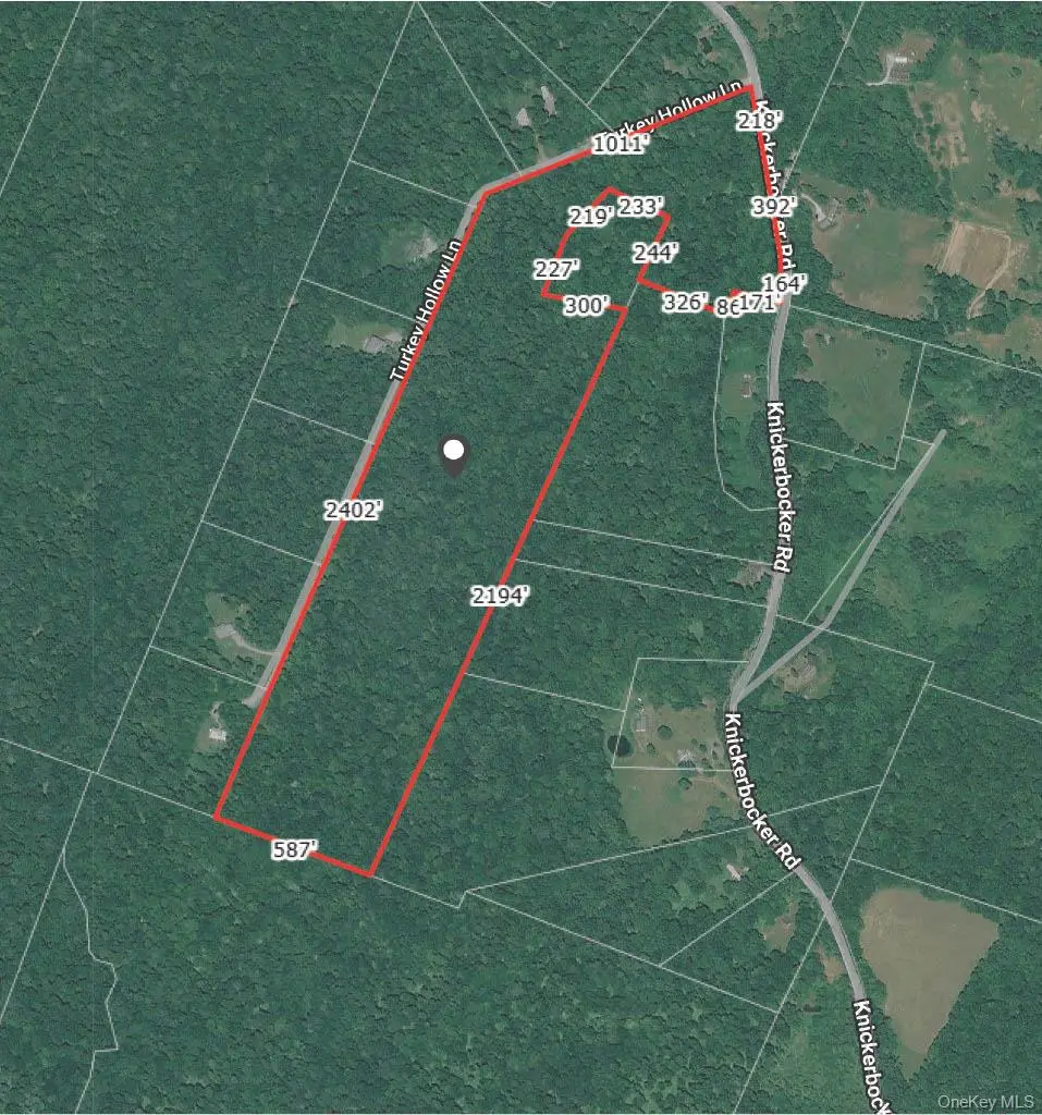 Knickerbocker RD, Livingston Manor, NY 12758