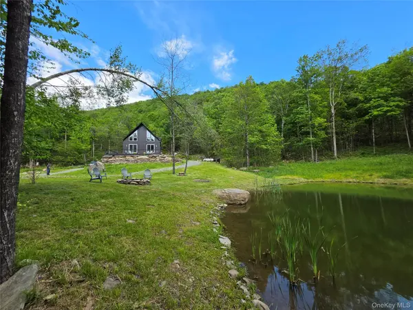 1227 Gulf RD, Callicoon Center, NY 12724